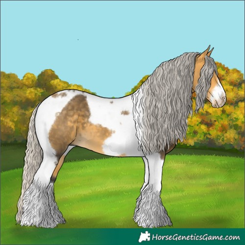 Horse Color:Silver Buckskin Tobiano Frame 