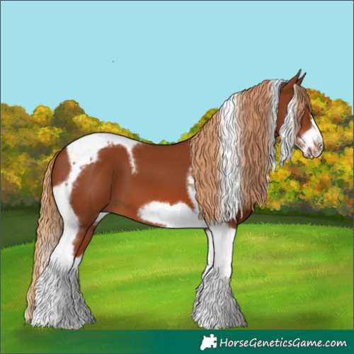 Horse Color:Chestnut Tobiano Frame 