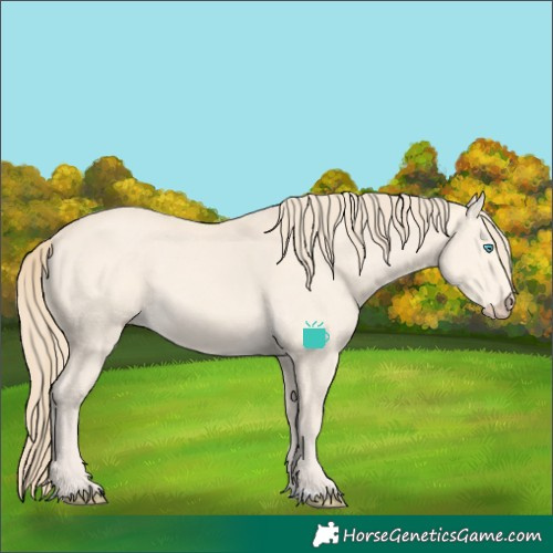 Horse Color:Perlino 