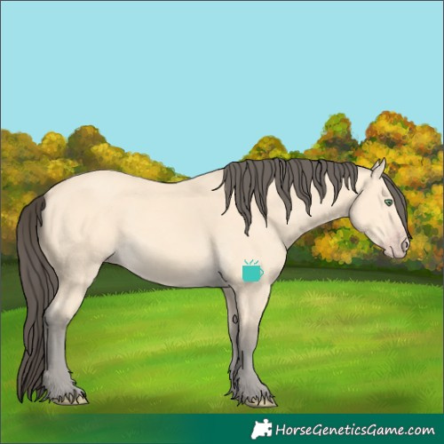 Horse Color:Amber Cream Champagne 