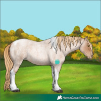 Horse Color:Red Roan Pearl Tobiano Frame 