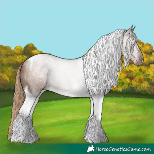 Horse Color:Liver Red Dun Tobiano 