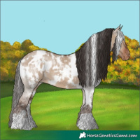 Horse Color:White Spotted Liver Red Dun Blanket