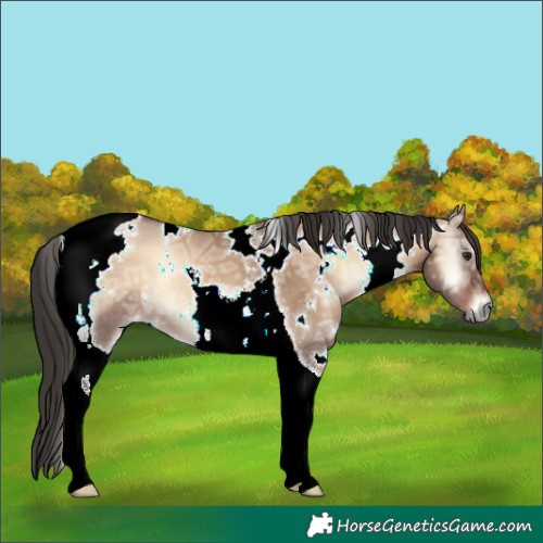 Horse Color:White Spotted Liver Red Dun Ice Onyx Tobiano 