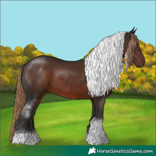 Horse Color:Liver Chestnut Tobiano 