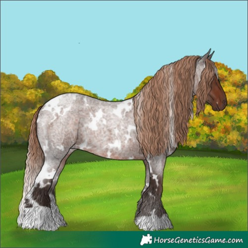 Horse Color:White Spotted Liver Red Roan 