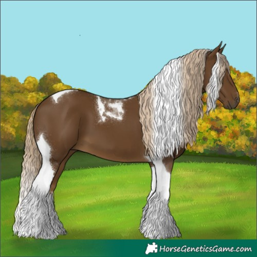 Horse Color:Chocolate Palomino Tobiano 