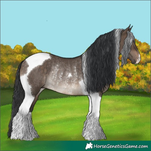 Horse Color:Brown Dun Tobiano Rabicano 