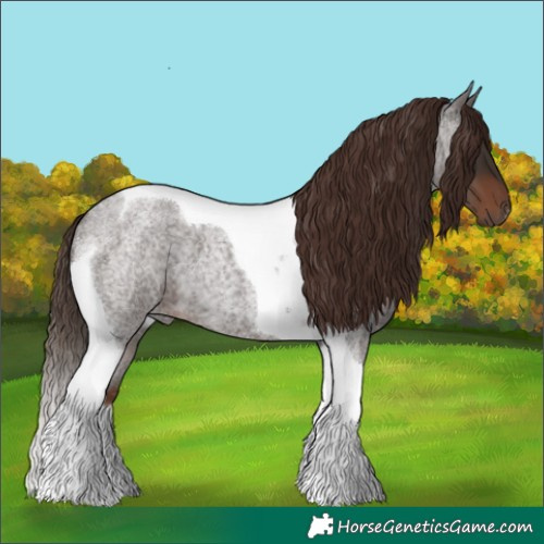 Horse Color:Liver Red Roan Tobiano 