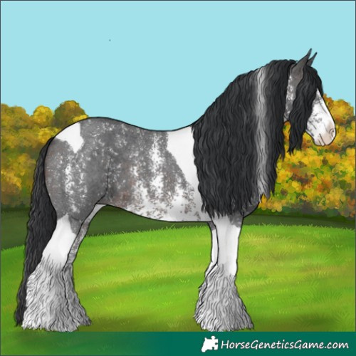 Horse Color:Brown Sabino Tobiano 