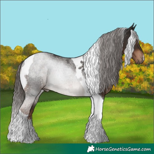 Horse Color:Liver Chestnut Tobiano 