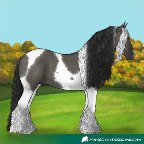 Horse Color:Gray Grullo Tobiano 