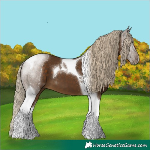 Horse Color:Chocolate Palomino Tobiano 