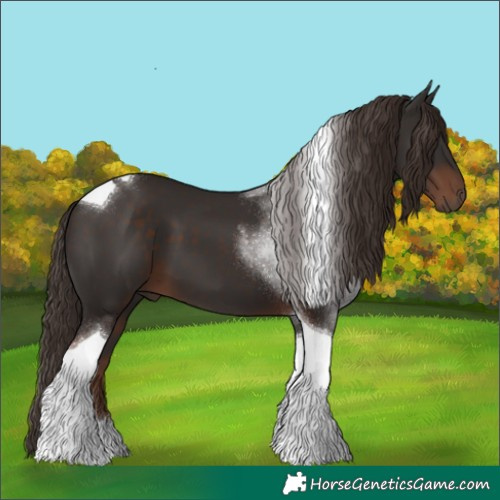Horse Color:Liver Chestnut Tobiano 