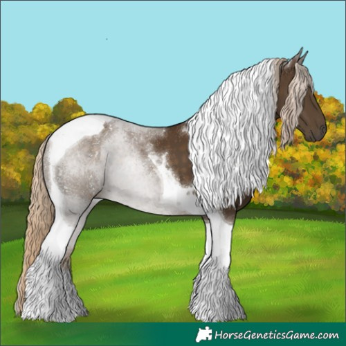 Horse Color:Chocolate Palomino Tobiano 