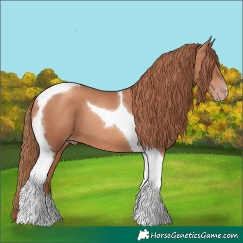 Horse Color:Gold Champagne Tobiano 