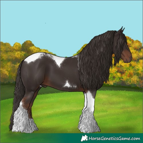 Horse Color:Liver Chestnut Tobiano 