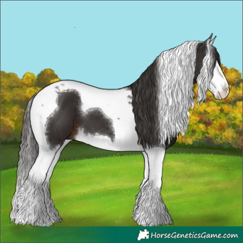 Horse Color:Liver Chestnut Splash Tobiano 