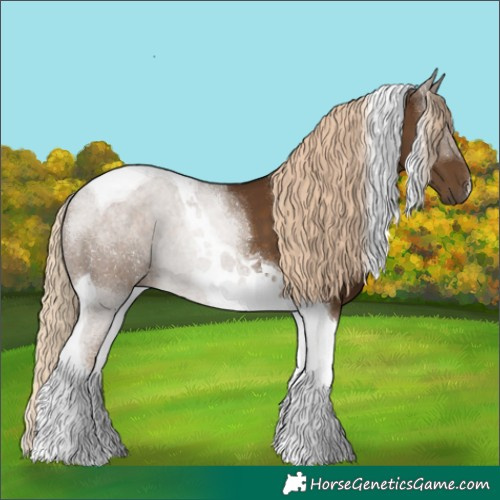 Horse Color:Chocolate Palomino Tobiano 