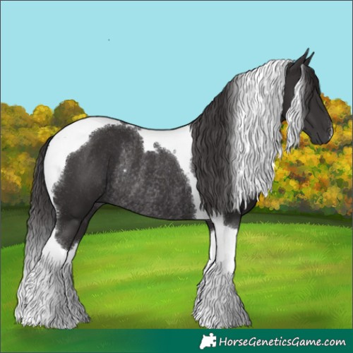Horse Color:Smoky Black Tobiano Rabicano 