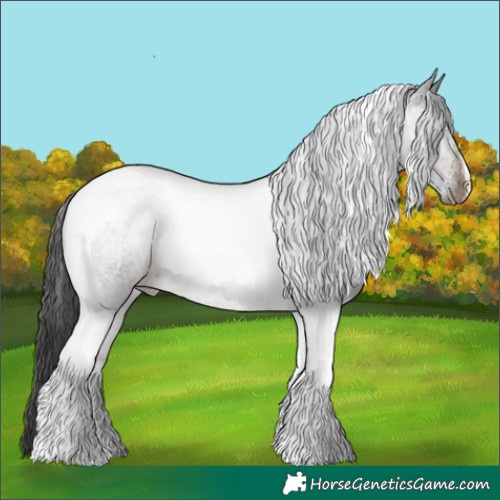 Horse Color:Brown Roan Tobiano Rabicano