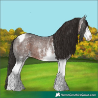 Horse Color:White Spotted Liver Chestnut Tobiano Rabicano