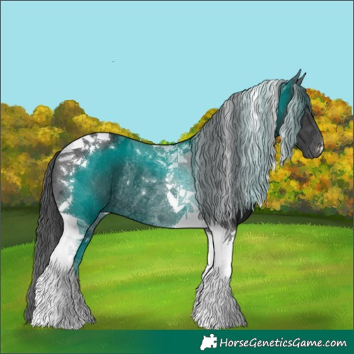 Horse Color:Black Tobiano Rabicano 