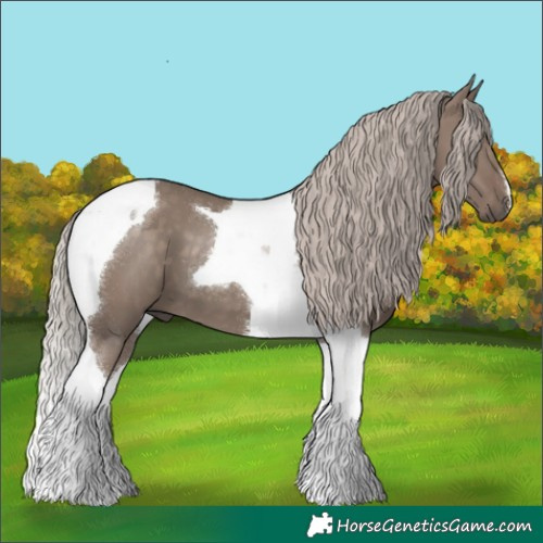 Horse Color:Silver Grullo Tobiano 