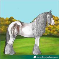 Horse Color:White Spotted Liver Chestnut Tobiano 