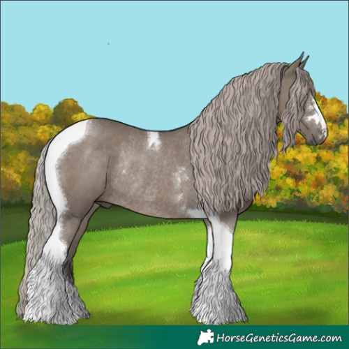 Horse Color:Silver Grullo Tobiano Rabicano 