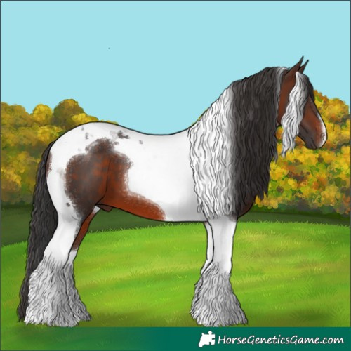 Horse Color:Brown Tobiano 