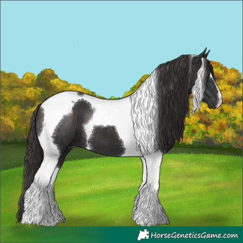 Horse Color:Liver Chestnut Tobiano 