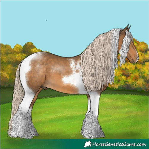 Horse Color:Chocolate Palomino Tobiano