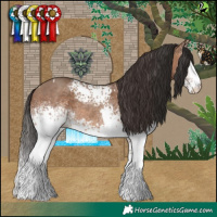 Horse Color:White Spotted Sable Champagne Tobiano and White Spotted Sable Champagne Tobiano