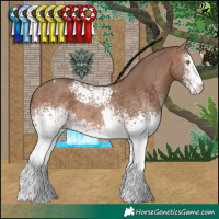 Horse Color:White Spotted Sable Champagne Tobiano and White Spotted Sable Champagne Tobiano