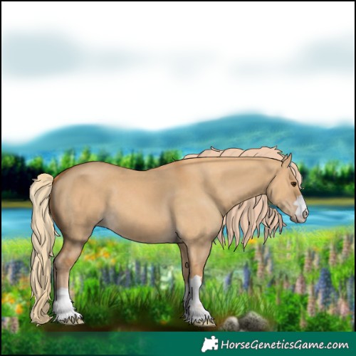 Horse Color:Red Dun 