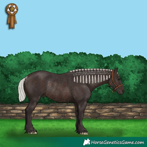 Horse Color:Silver Brown Rabicano 