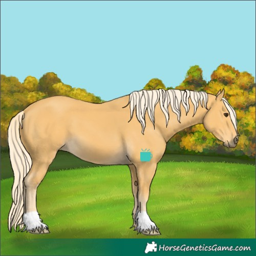 Horse Color:Palomino 