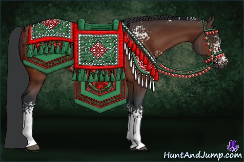 Horse Color:White Spotted Bay