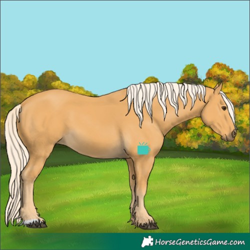 Horse Color:Palomino 