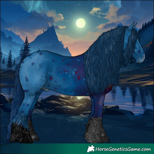 Horse Color:ERROR: UNKNOWN ANOMALY