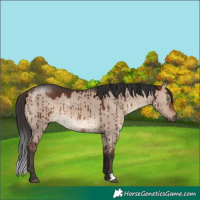 Horse Color:Brown Dun Mushroom Brindle 
