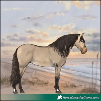 Horse Color:Buckskin Dun