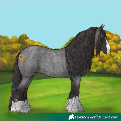 Horse Color:Smoky Blue Roan