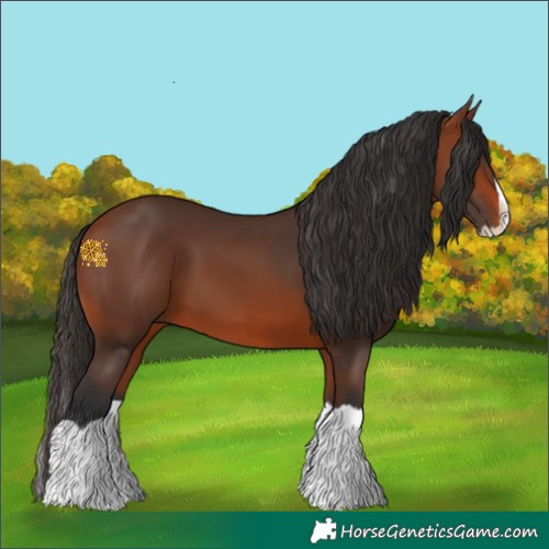 Horse Color:Bay Splash 