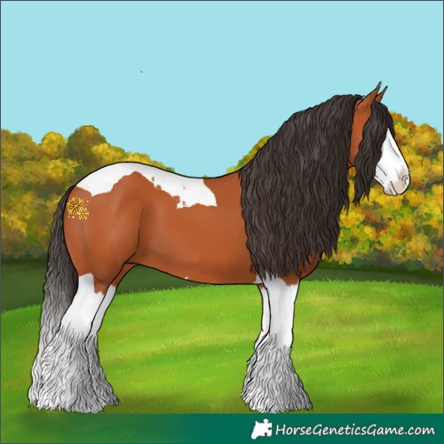 Horse Color:Bay Splash Tobiano 