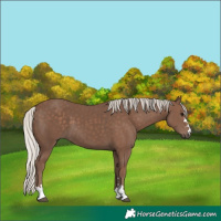 Horse Color:Silver Black