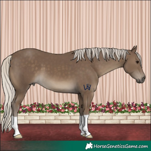 Horse Color:Silver Smoky Black 