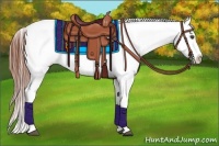Horse Color:Grullo Tobiano Appaloosa