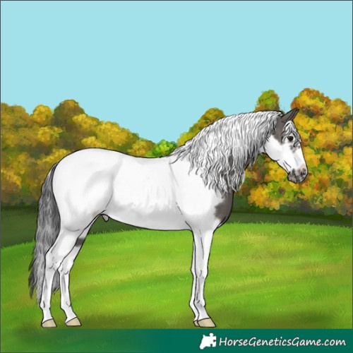 Horse Color:Grullo Tobiano Frame 